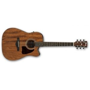 IBANEZ AW54CE Open Pore Natural