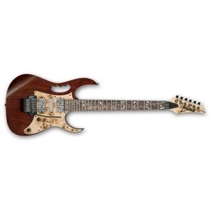 IBANEZ JEM77WDP-CNL Charcoal Brown
