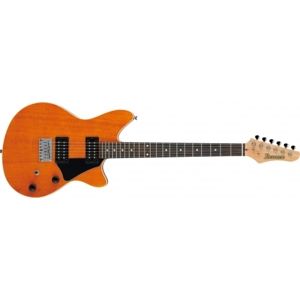 IBANEZ RC220 Aged Amber