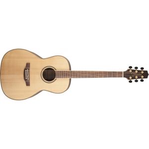 TAKAMINE GY93, Rosewood Fingerboard - Natural